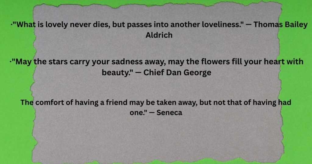 Timeless Quotes to Express Your Deepest Condolences